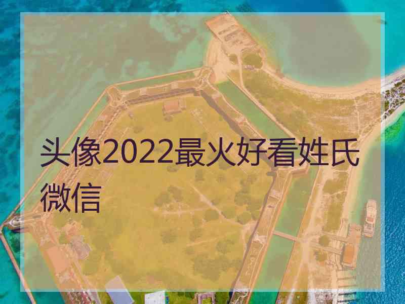 头像2022最火好看姓氏微信