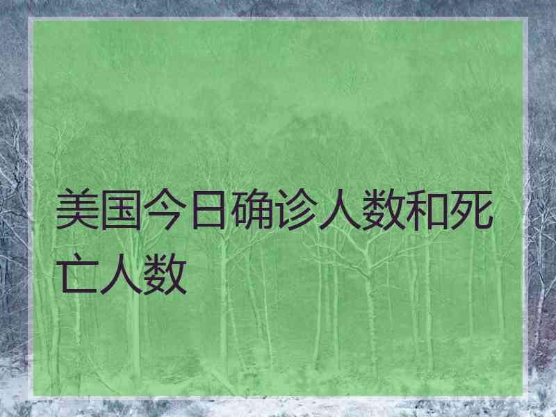 美国今日确诊人数和死亡人数