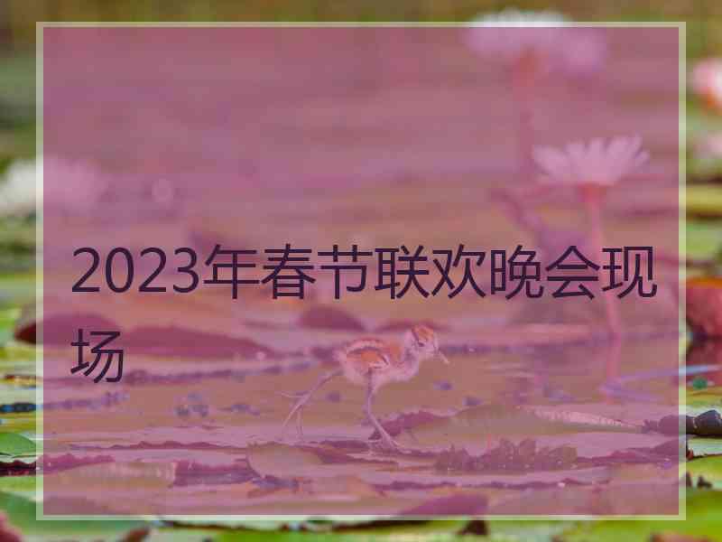 2023年春节联欢晚会现场