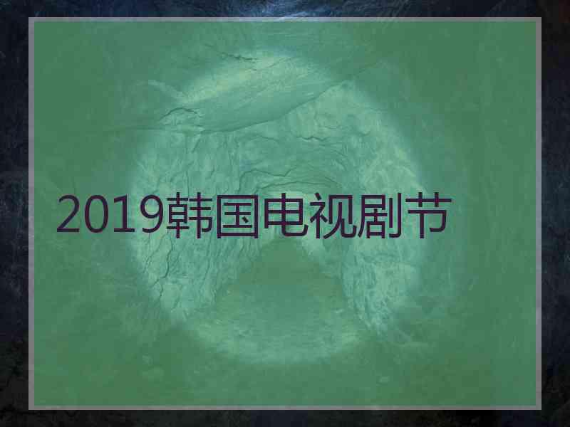 2019韩国电视剧节