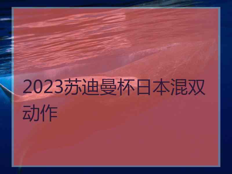 2023苏迪曼杯日本混双动作