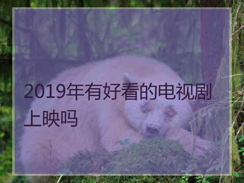 2019年有好看的电视剧上映吗