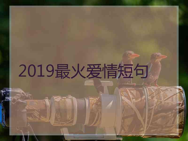 2019最火爱情短句