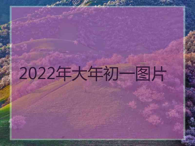 2022年大年初一图片