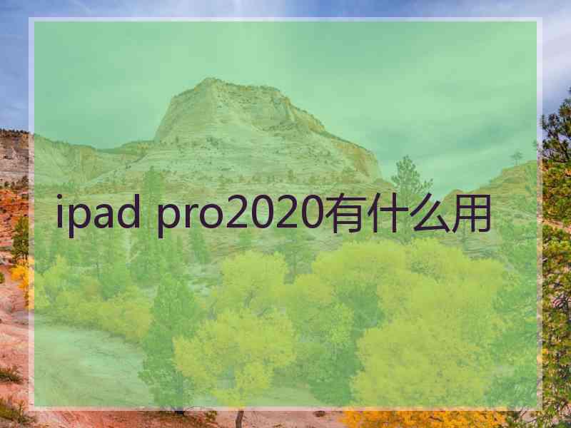 ipad pro2020有什么用