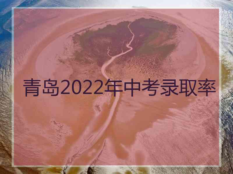 青岛2022年中考录取率