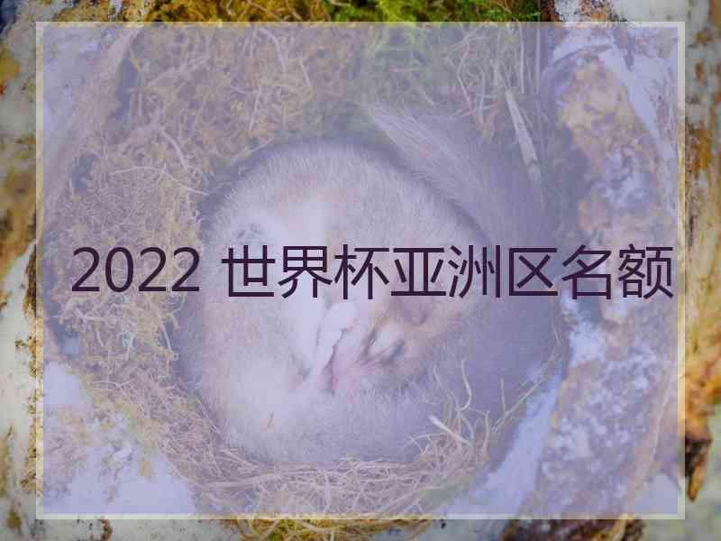 2022 世界杯亚洲区名额