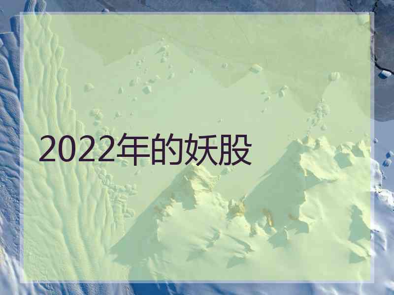 2022年的妖股