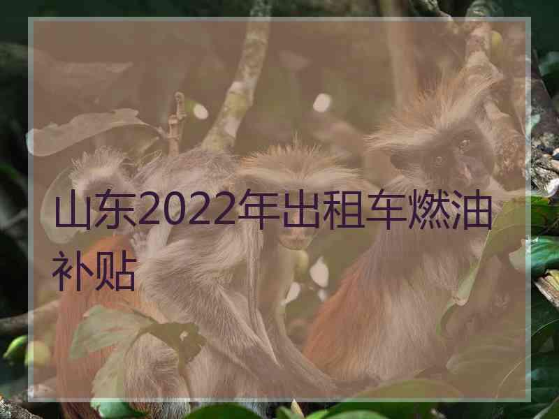 山东2022年出租车燃油补贴