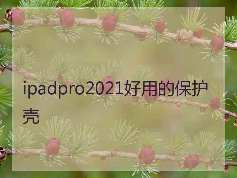 ipadpro2021好用的保护壳