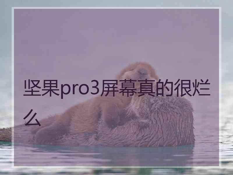 坚果pro3屏幕真的很烂么