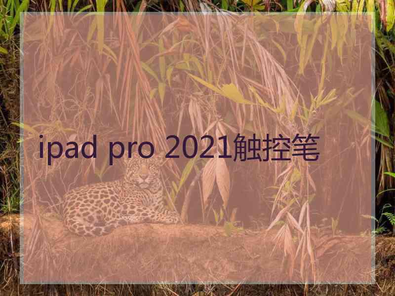 ipad pro 2021触控笔