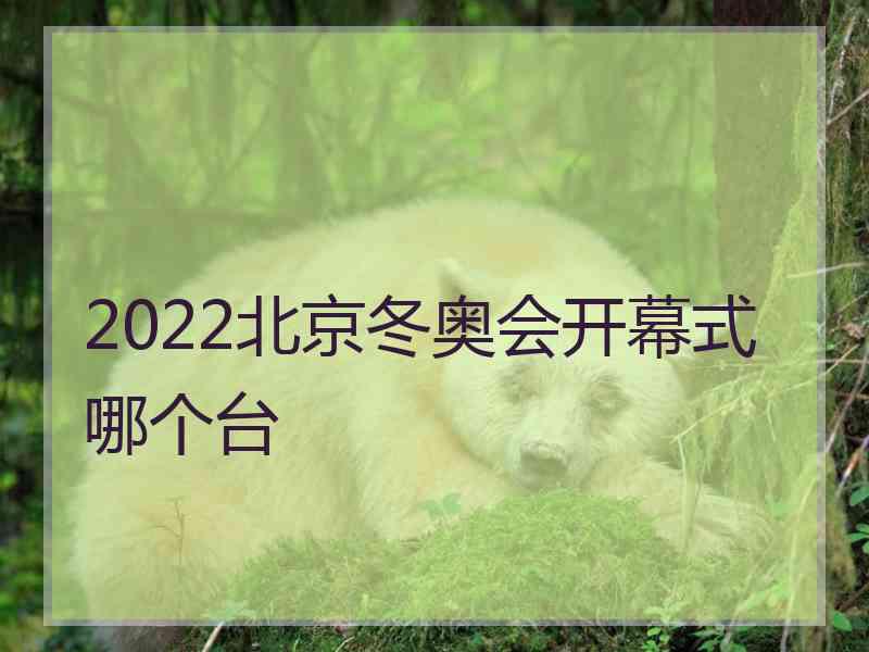 2022北京冬奥会开幕式哪个台