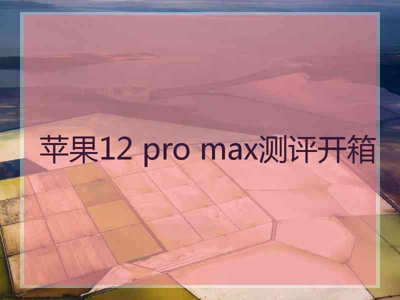 苹果12 pro max测评开箱