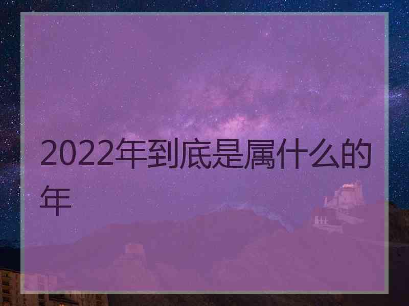 2022年到底是属什么的年