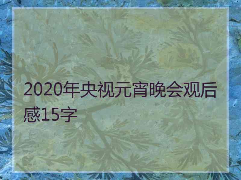 2020年央视元宵晚会观后感15字