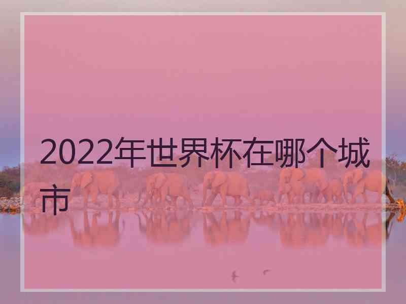 2022年世界杯在哪个城市