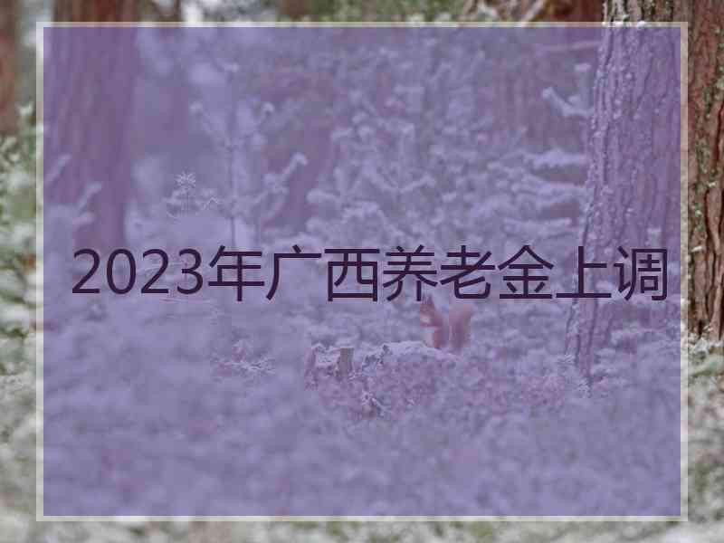 2023年广西养老金上调