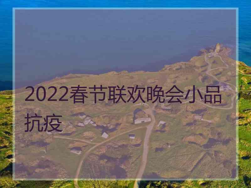 2022春节联欢晚会小品抗疫