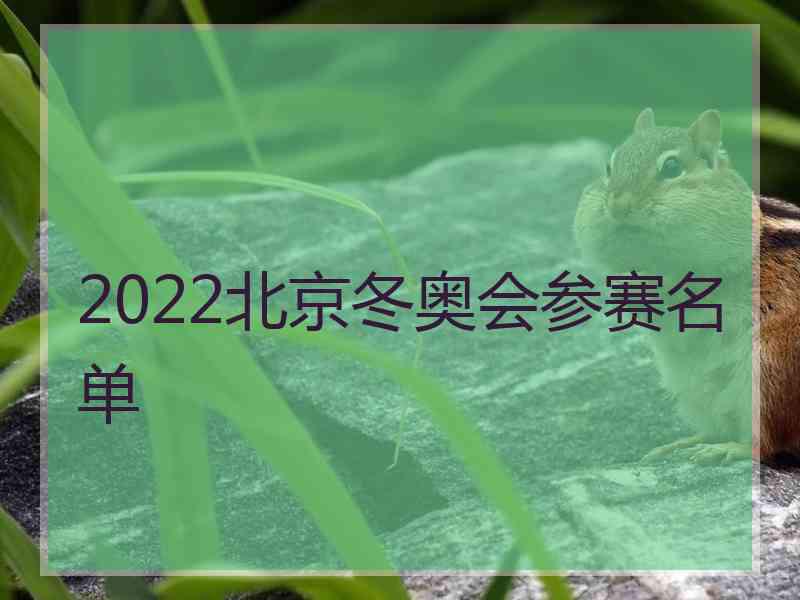 2022北京冬奥会参赛名单