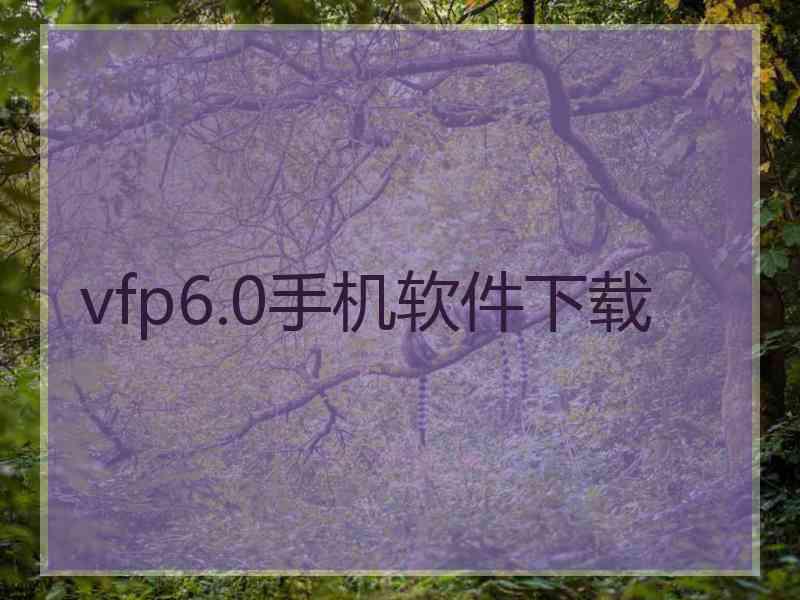 vfp6.0手机软件下载