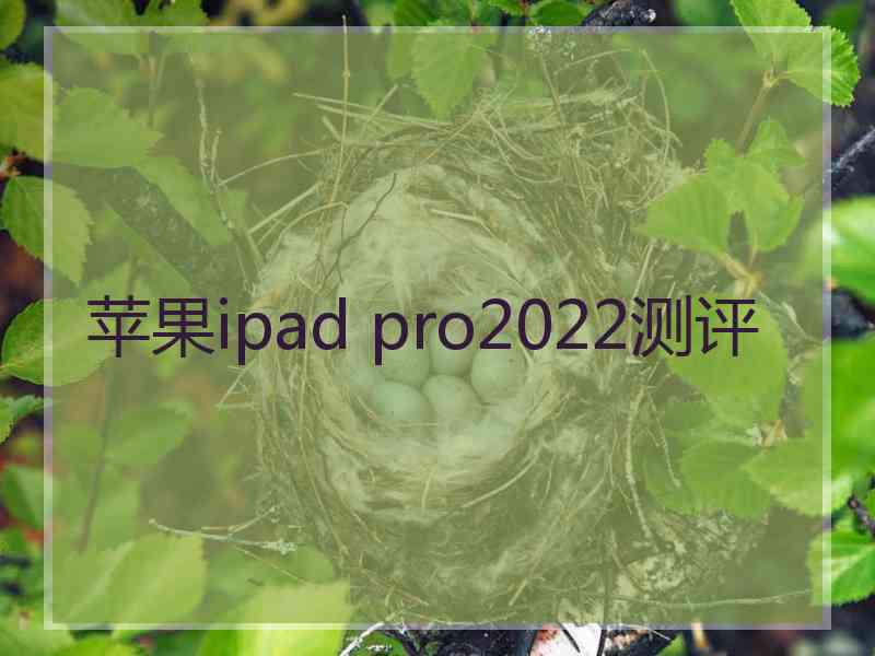 苹果ipad pro2022测评