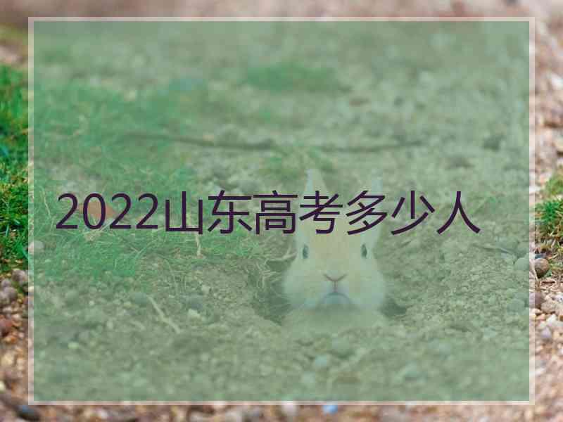 2022山东高考多少人