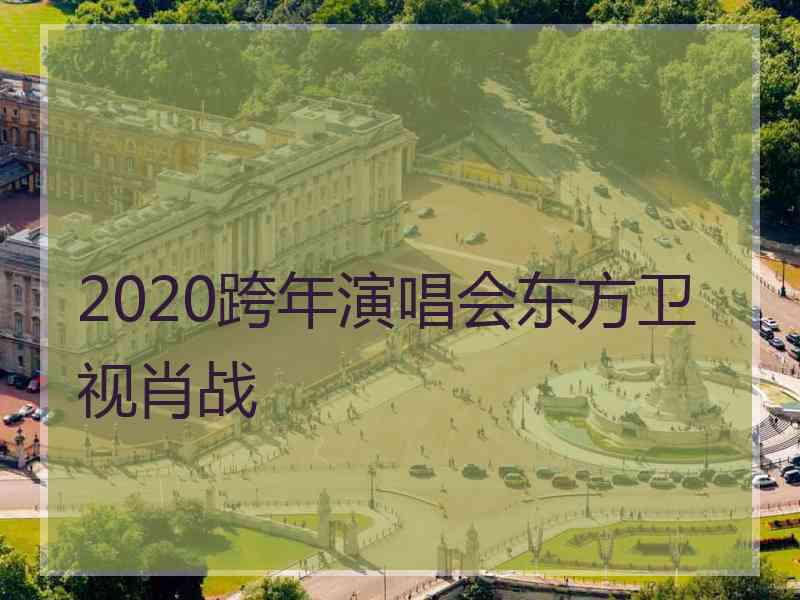 2020跨年演唱会东方卫视肖战