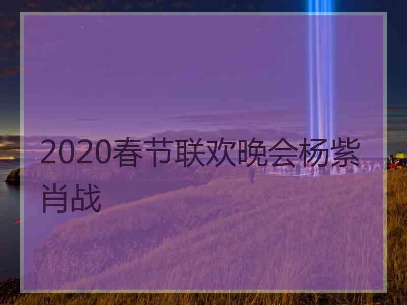 2020春节联欢晚会杨紫肖战