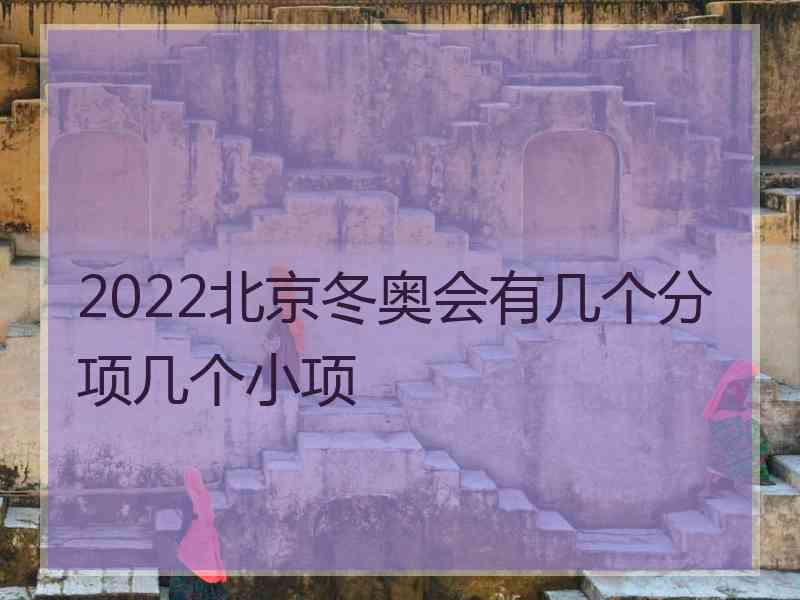 2022北京冬奥会有几个分项几个小项