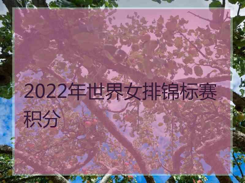 2022年世界女排锦标赛积分