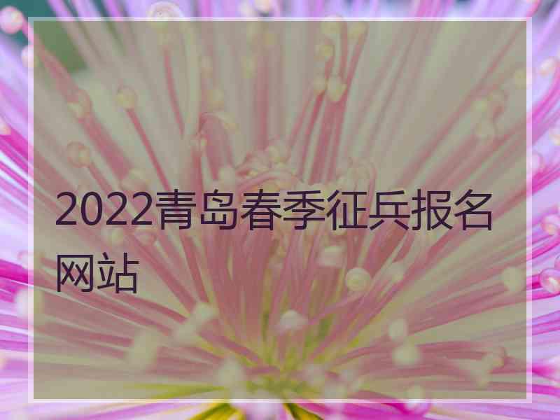 2022青岛春季征兵报名网站