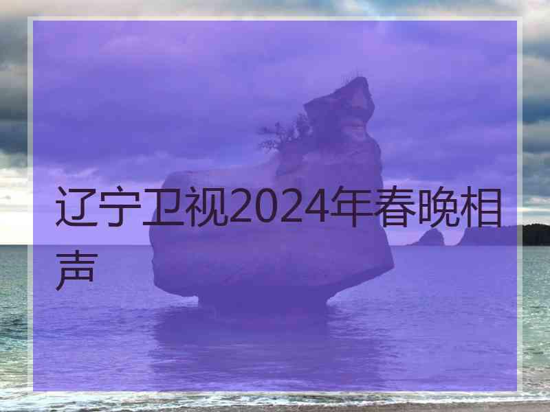 辽宁卫视2024年春晚相声