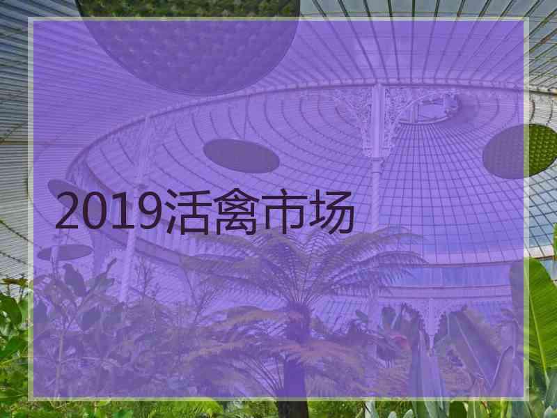 2019活禽市场