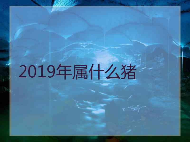 2019年属什么猪