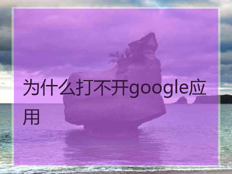 为什么打不开google应用