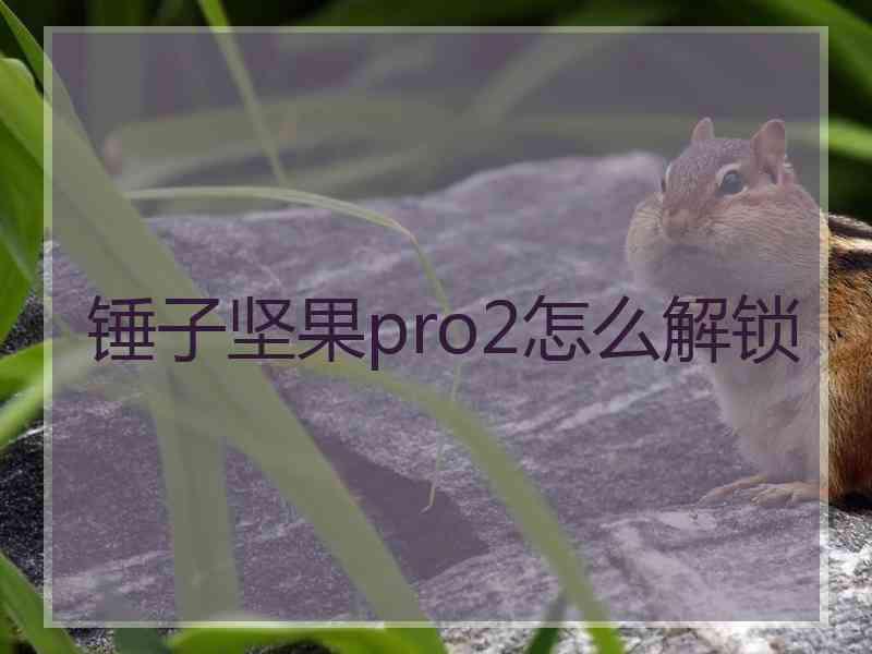 锤子坚果pro2怎么解锁