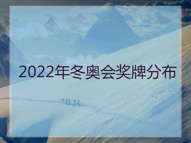 2022年冬奥会奖牌分布