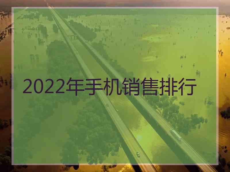 2022年手机销售排行