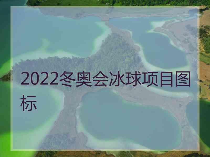 2022冬奥会冰球项目图标