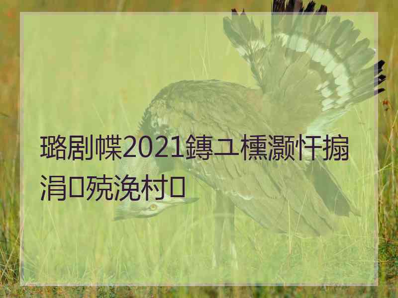 璐剧幉2021鏄ユ櫄灏忓搧涓殑浼村