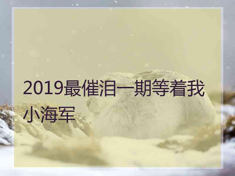 2019最催泪一期等着我小海军