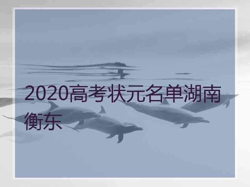 2020高考状元名单湖南衡东