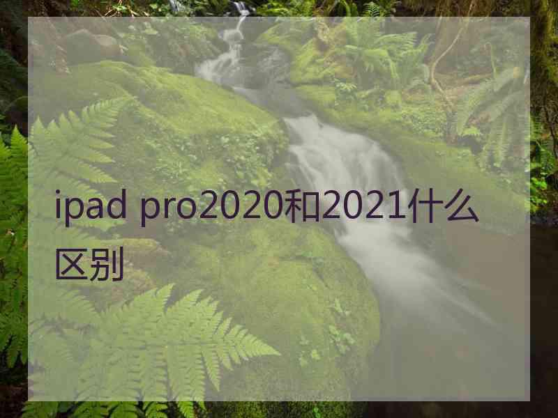 ipad pro2020和2021什么区别