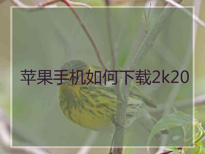 苹果手机如何下载2k20