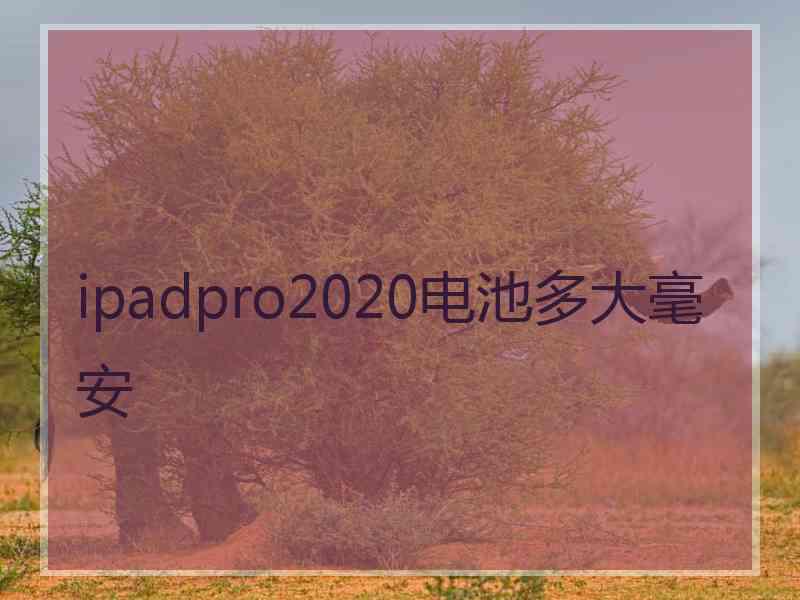 ipadpro2020电池多大毫安