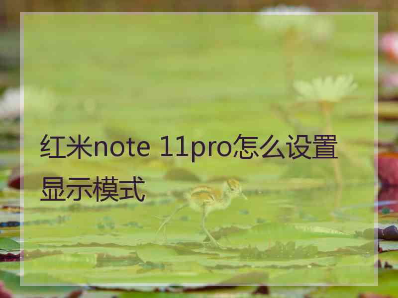 红米note 11pro怎么设置显示模式