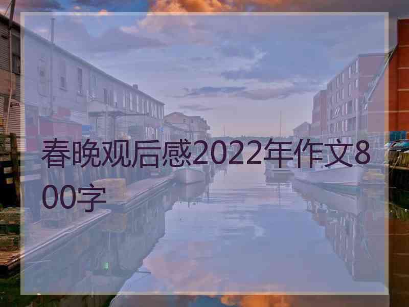 春晚观后感2022年作文800字