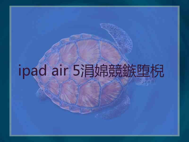 ipad air 5涓婂競鏃堕棿