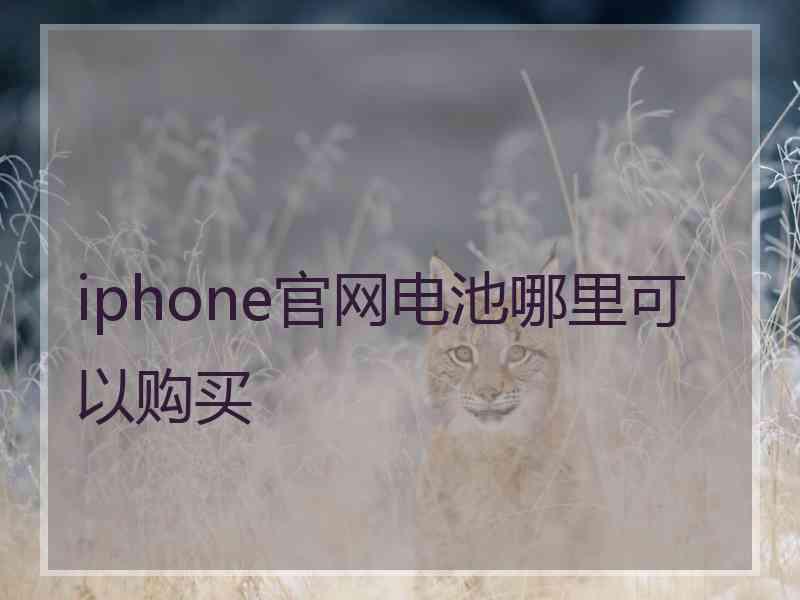 iphone官网电池哪里可以购买